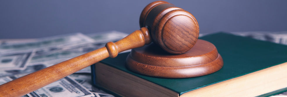 Valuation & Litigation Support